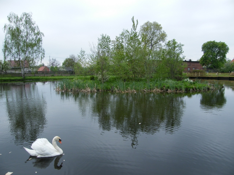 DSCF7919_resize