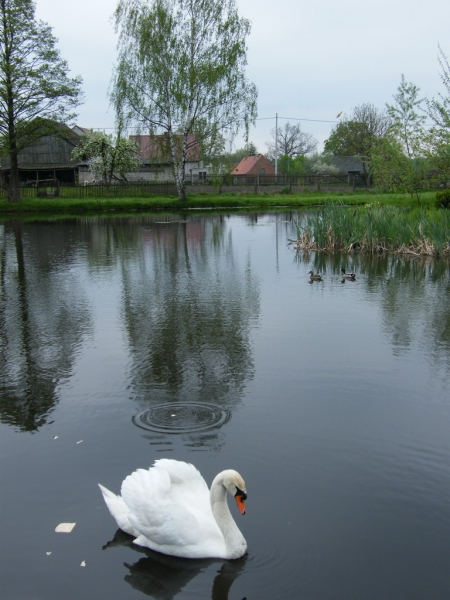 DSCF7920_resize