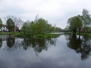 Staw
