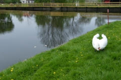 DSCF7908_resize