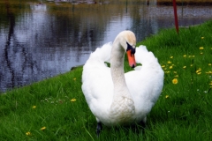 DSCF7909_resize