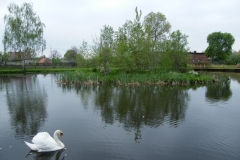 DSCF7919_resize