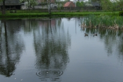 DSCF7920_resize