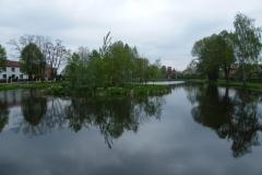 DSCF7929_resize
