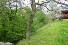 DSCF7938_resize