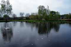DSCF7948_resize