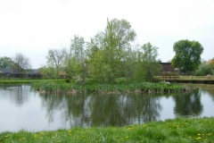 DSCF7950_resize