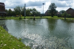 DSCF6907