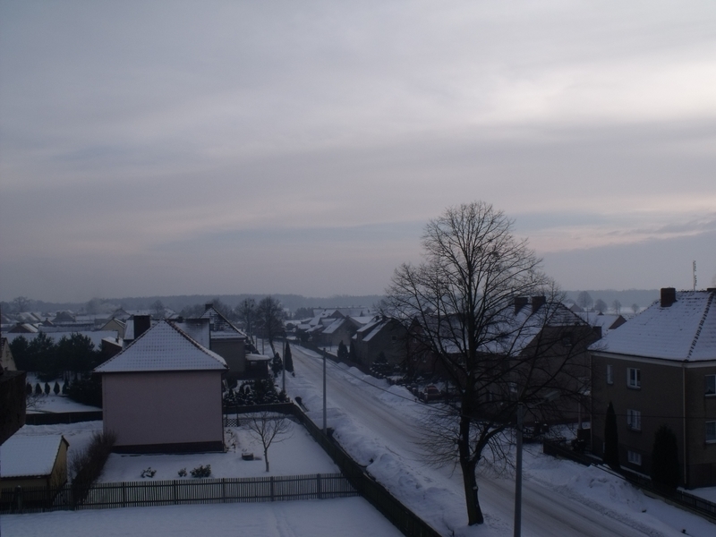 DSCF1371