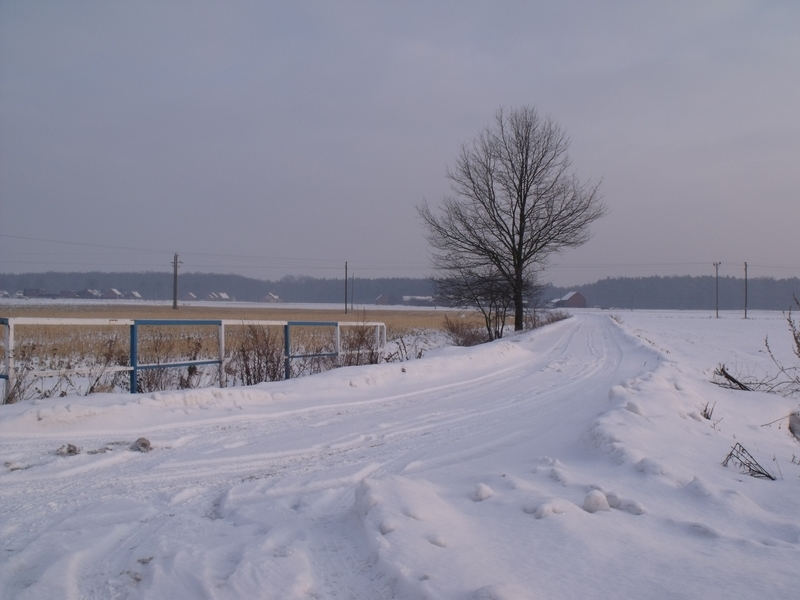 DSCF1578
