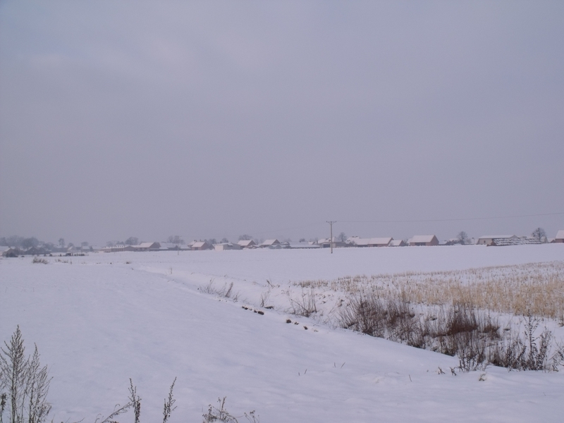 DSCF1581