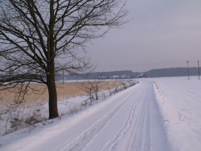 DSCF1583