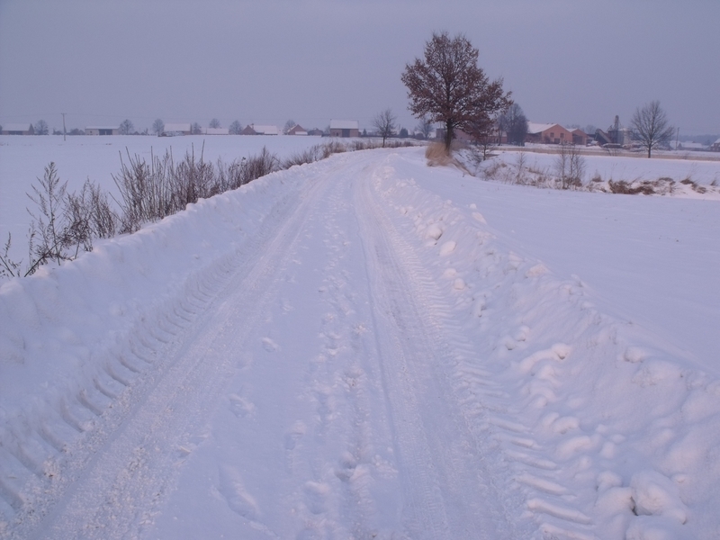 DSCF1589