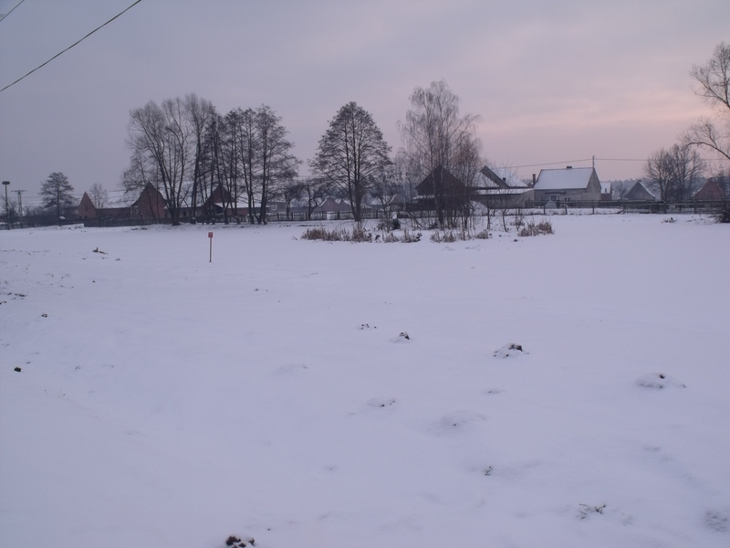 DSCF1618