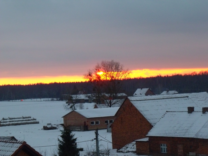 DSCF1779