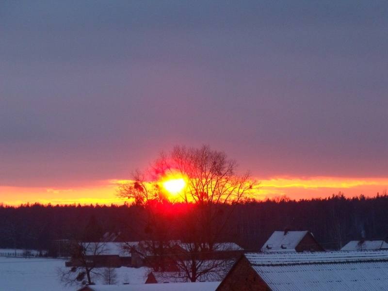 DSCF1782