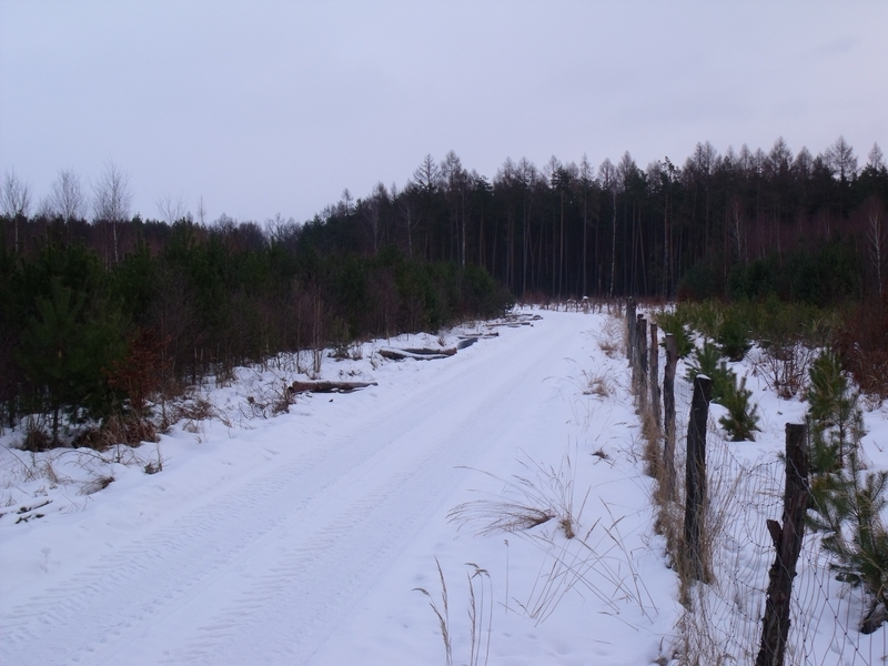 DSCF1874