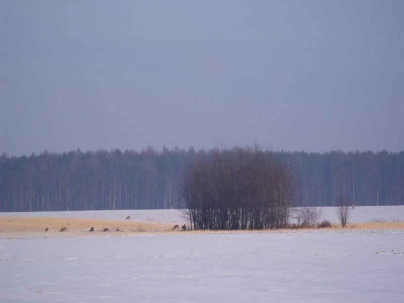 DSCF1902