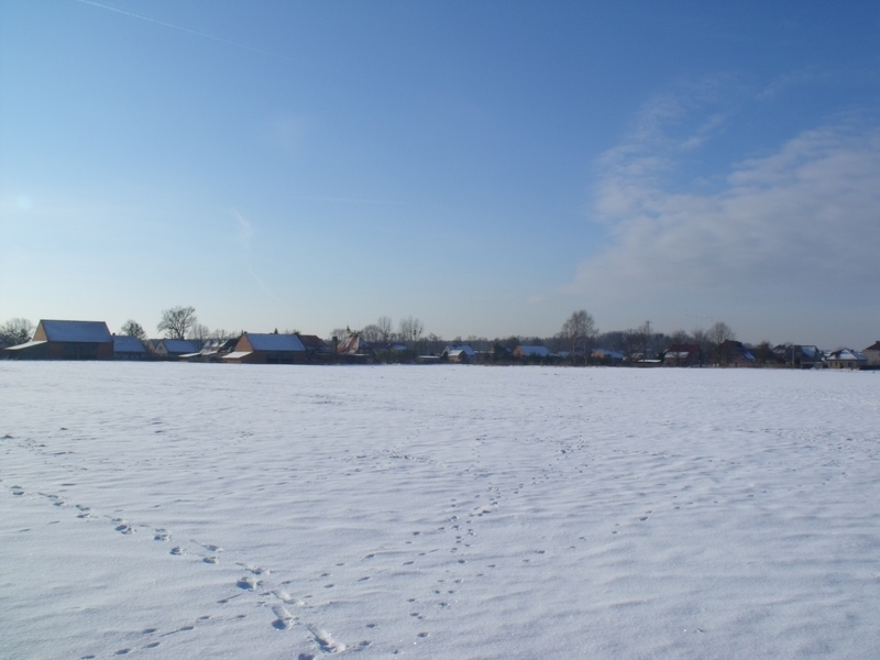 DSCF1923