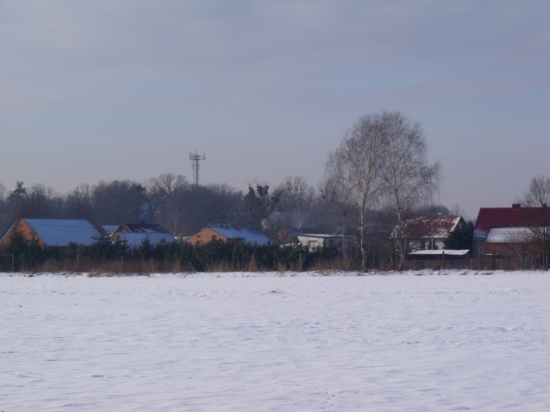 DSCF1926