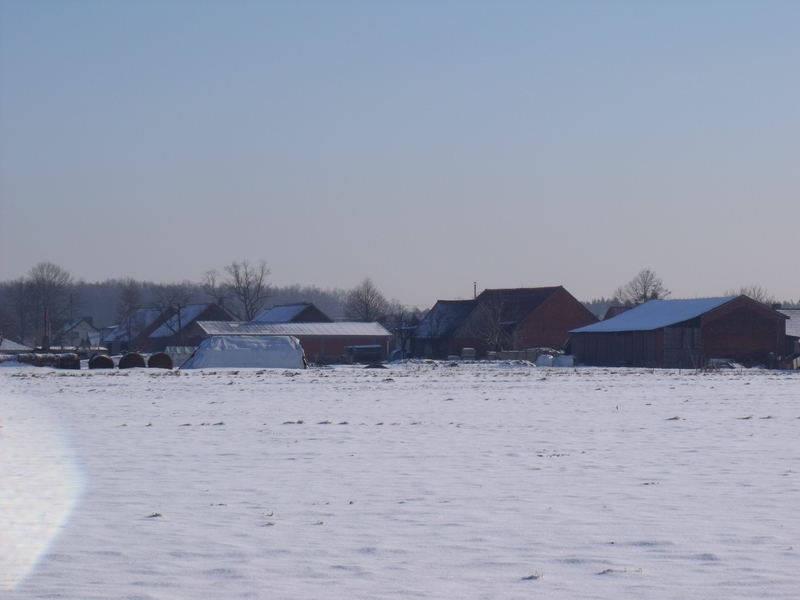 DSCF1936