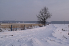 DSCF1578