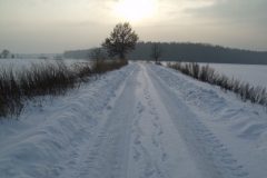 DSCF1579