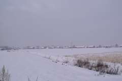 DSCF1581