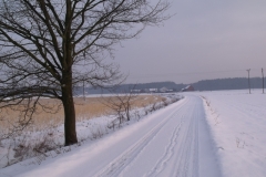 DSCF1583