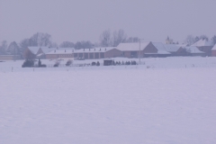 DSCF1590