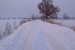 DSCF1593