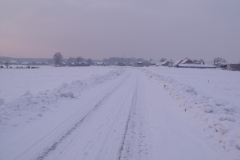 DSCF1595