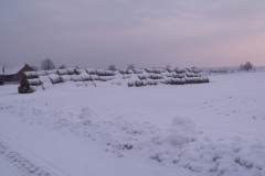 DSCF1596