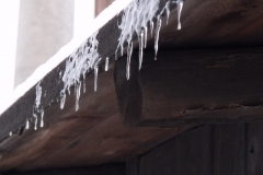 DSCF1611