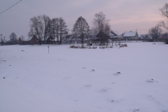 DSCF1618