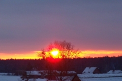 DSCF1782