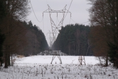 DSCF1832