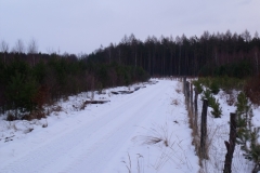 DSCF1874