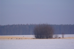 DSCF1902