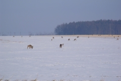 DSCF1916