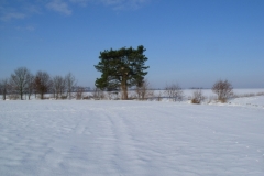 DSCF1921