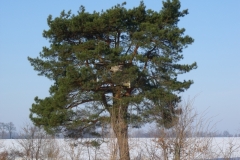 DSCF1922