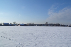 DSCF1923