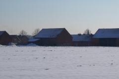 DSCF1934