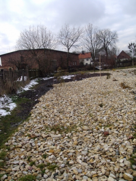 DSC06737
