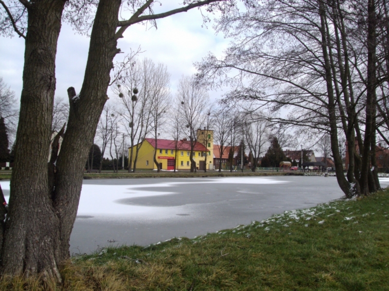 DSC06738